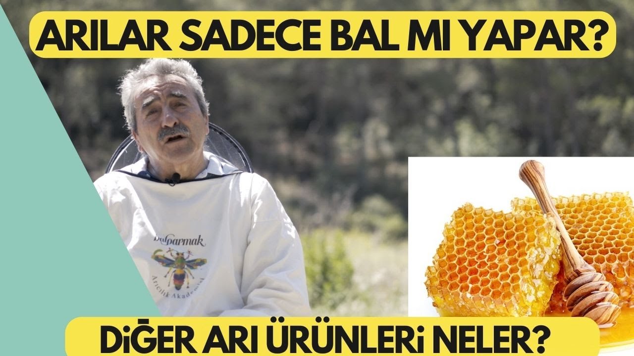 ARI SADECE BAL MI YAPAR? BAL DIŞINDA ARI ÜRÜNLERİ NELER? | BALPARMAK ARICILIK AKADEMİSİ