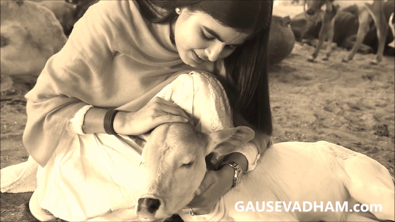 Devi Chitralekha ji at Gau Seva Dham Hospital