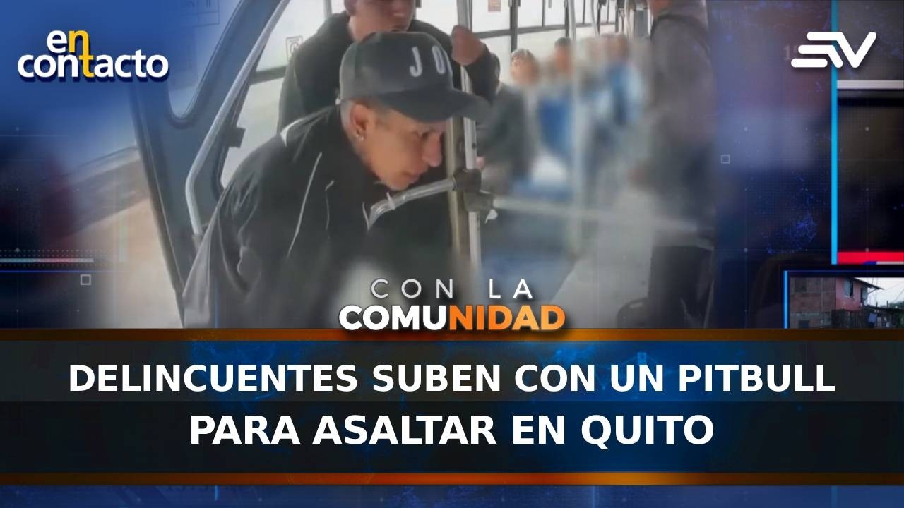 Delincuentes suben con un pitbull para asaltar en Quito | En Contacto | Ecuavisa