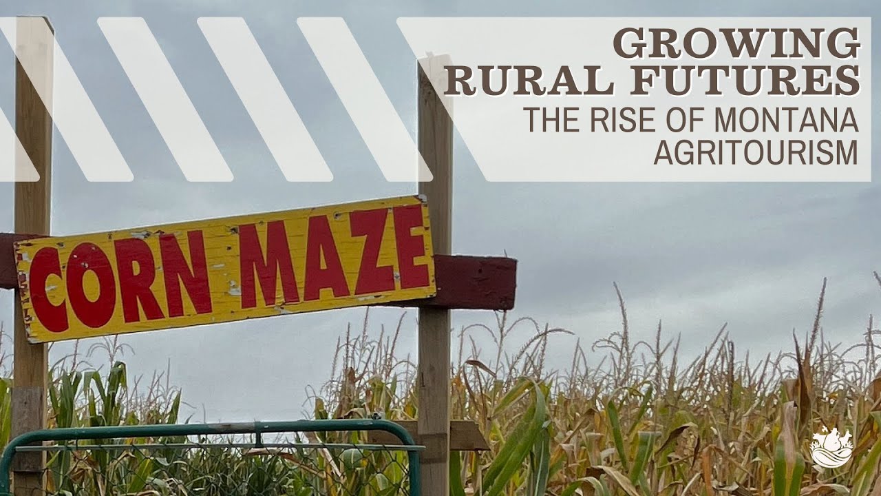 Growing Rural Futures: The Rise of Montana Agritourism