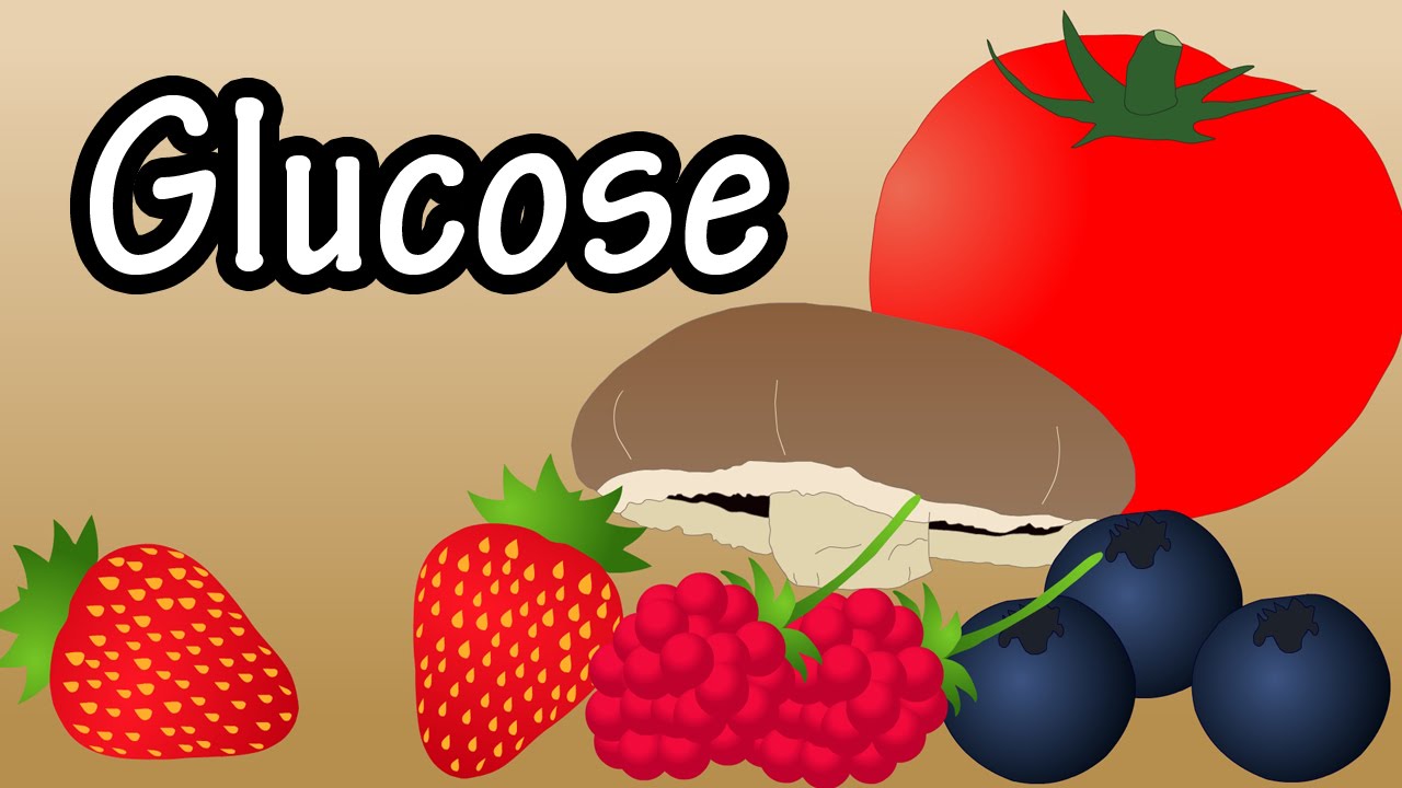 Glucose - What Is Glucose? - Foods High In Glucose - How Glucose Affects The Body