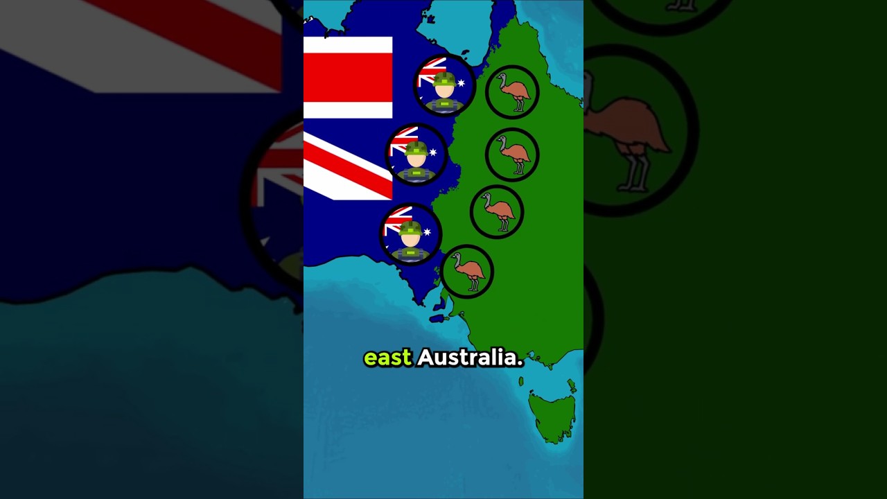 What would happen if Australia declared war against emus once again?
