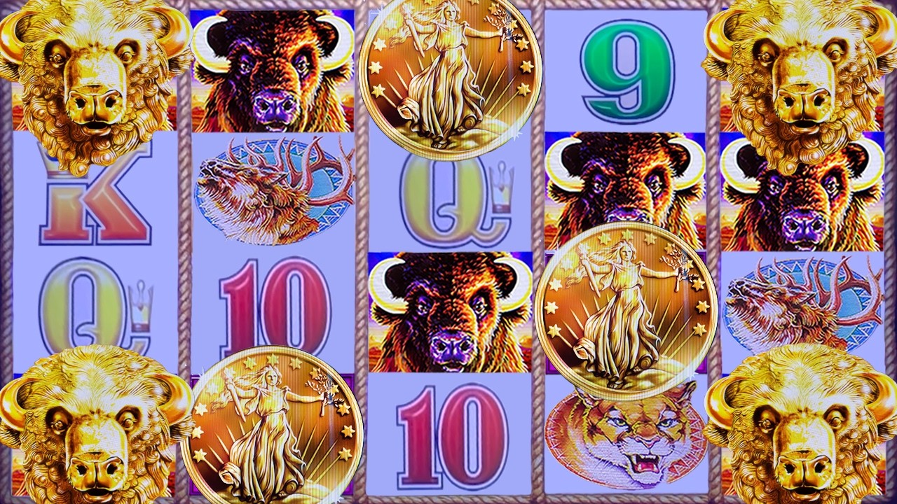 FRESH $100 BILL DOES THE TRICK on Buffalo Gold