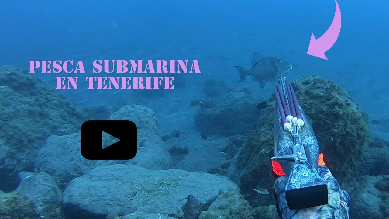 PESCA SUBMARINA EN TENERIFE (AGOSTO 2021)/SPEARFISHING IN CANARY ISLAND