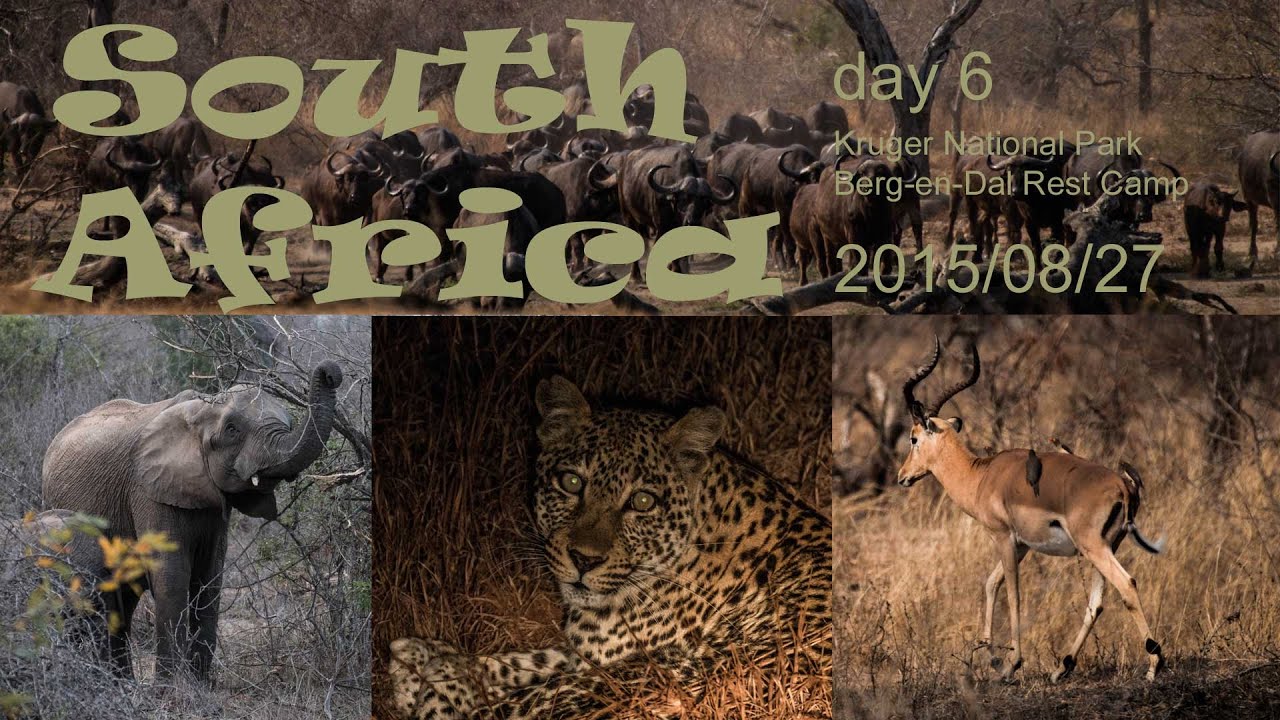 South Africa - Kruger National Park, Berg-en-Dal Rest Camp | Vlog
