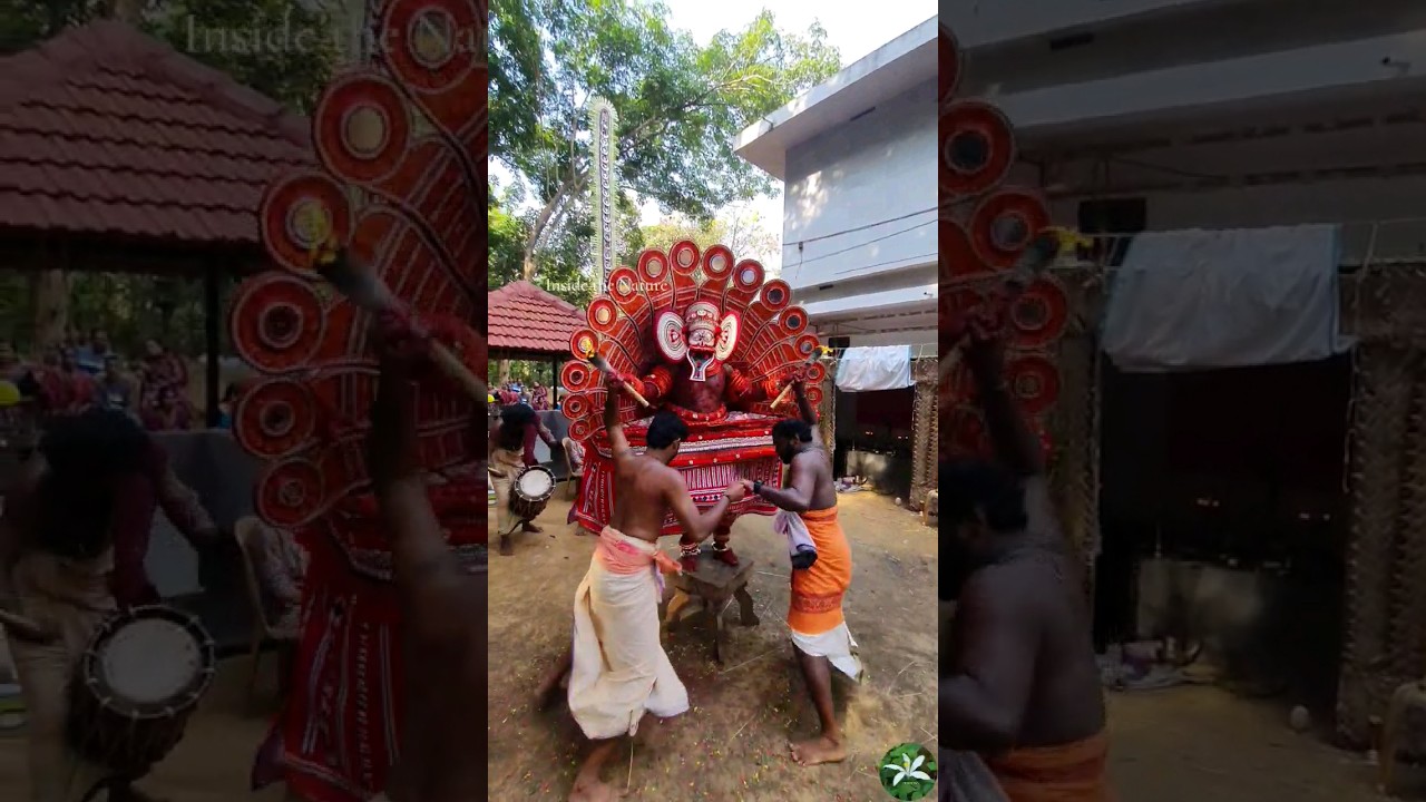 ശാസ്തപ്പൻ തെയ്യം | sasthappan theyyam | #shorts