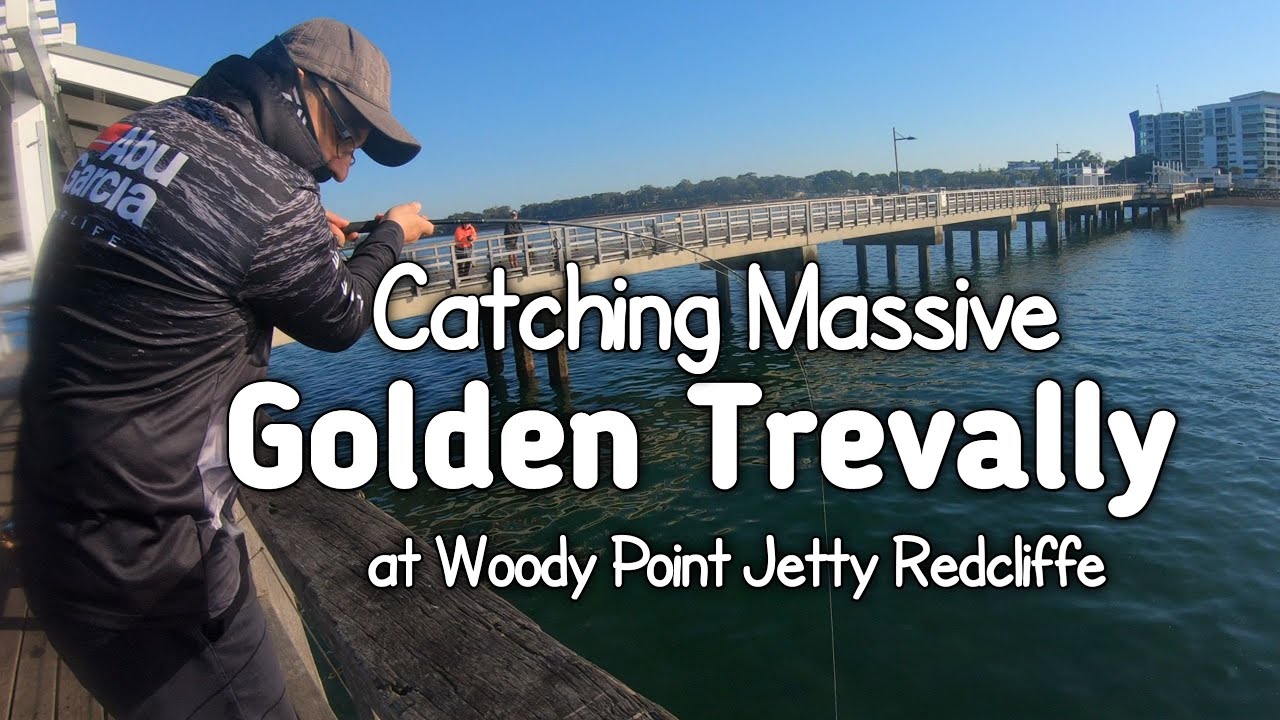 GT at Woody Point Jetty | Redcliffe Fishing