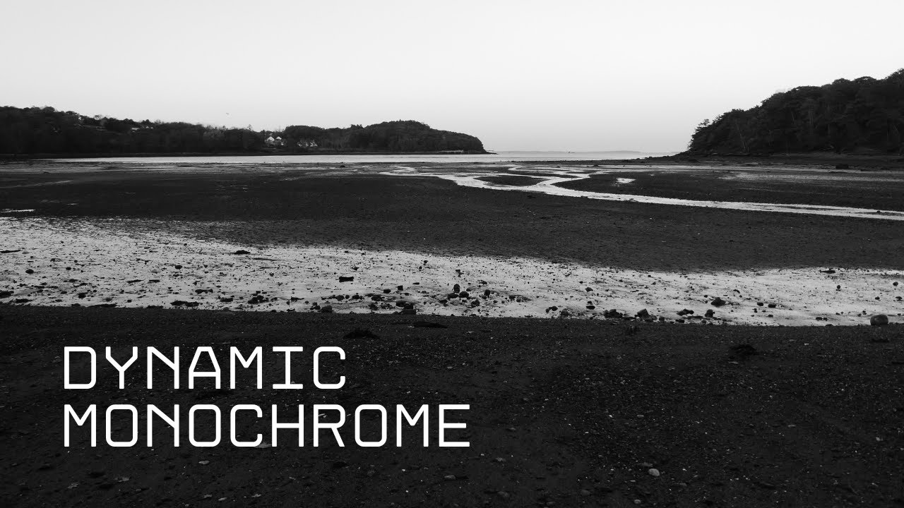 Panasonic ZS50 Dynamic Monochrome | Black & White Sample Photos (SOOC)
