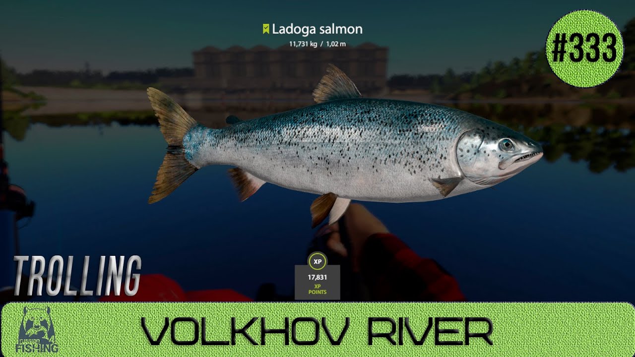 Russian Fishing 4 - Volkhov River - Trolling - #333