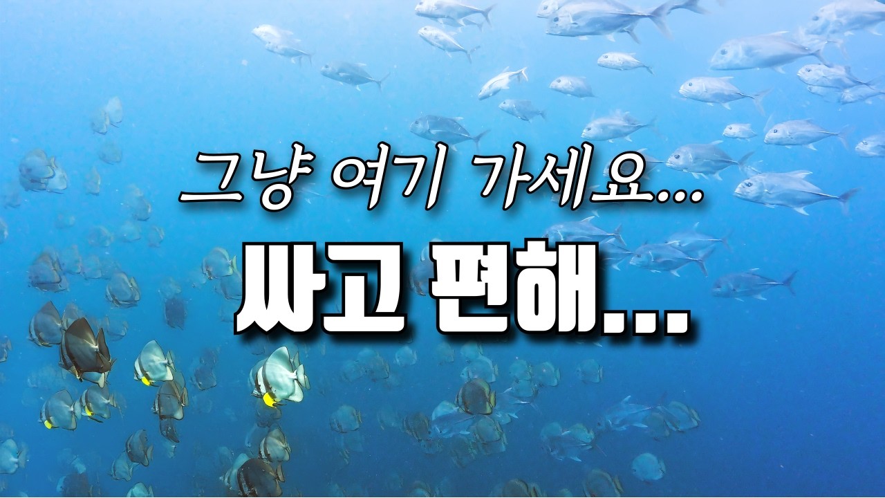 세부 막탄 다이빙🤿 | 사람들이 많이 가는 이유가 있었네😲| 힐루뚱안 난루수안 올랑고🏖