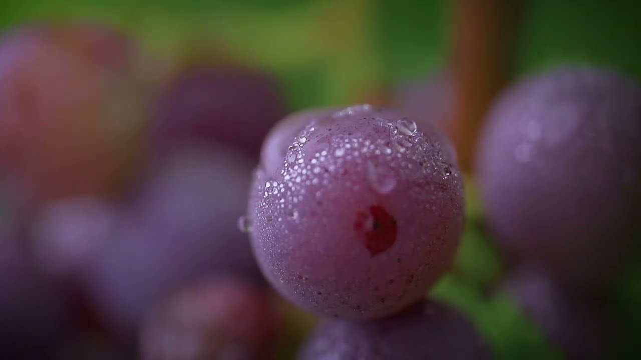 Liebliches Taubertal kulinarisch erleben