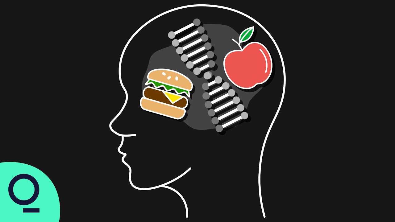 How Dieting Could Reprogram Your DNA