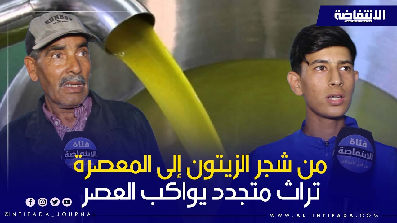 موسم الزيتون بالمغرب.. حركية ونشاط داخل المعاصر