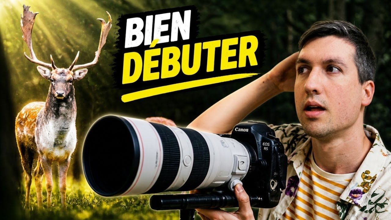 Débuter en photo animalière : matériel, budget et exercices !