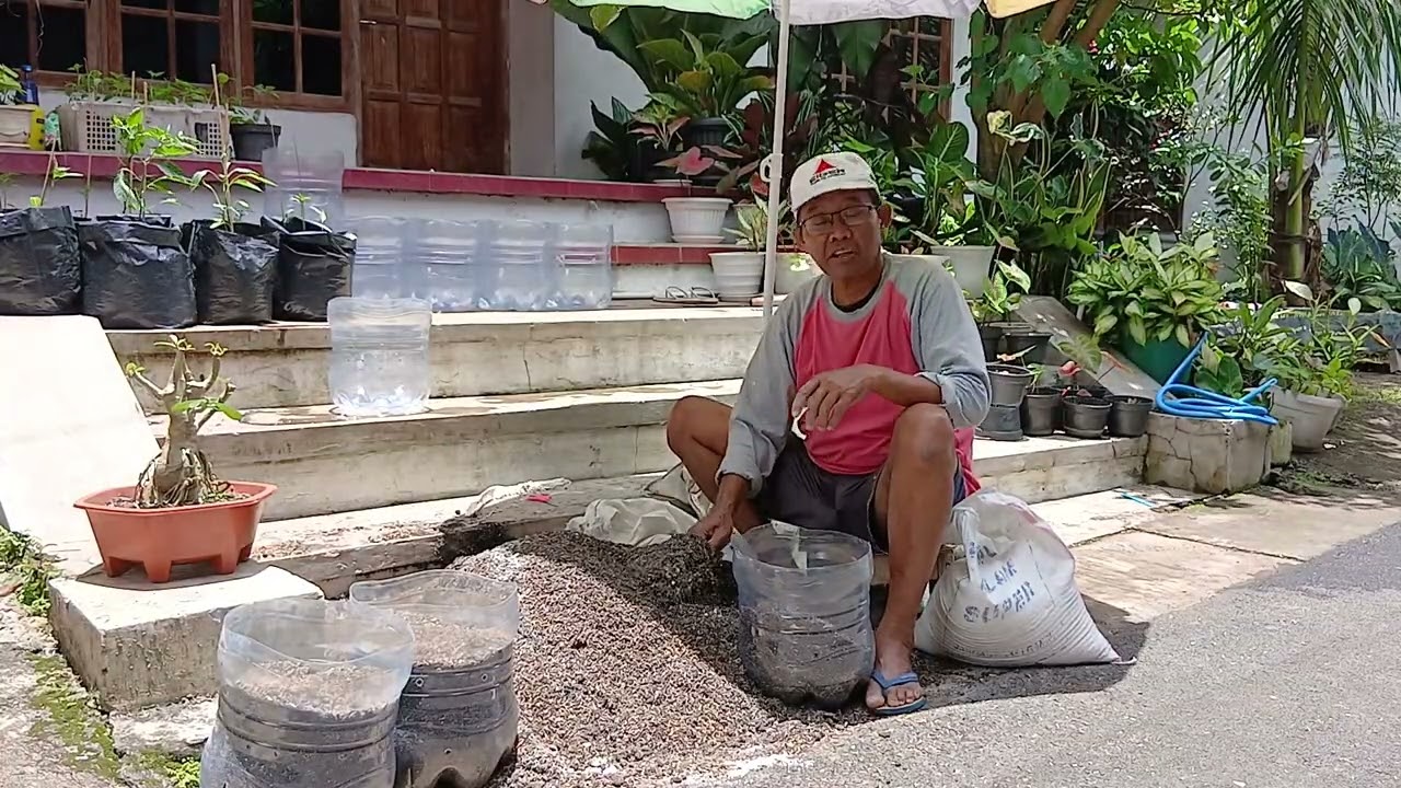 Mencoba berkebun mini