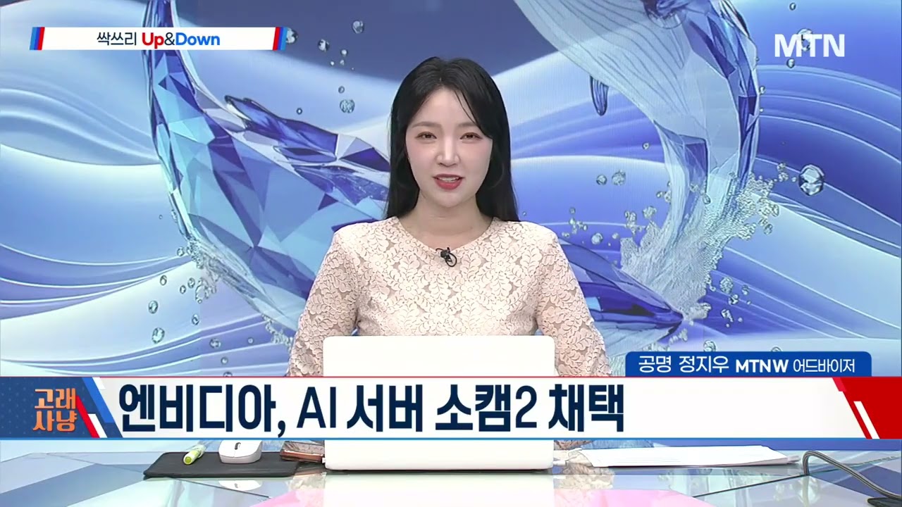 [고래사냥] 서해안 에너지 고속도로 전력주 ·마이크로 LED주 '초강세' / 머니투데이방송 (증시, 증권)