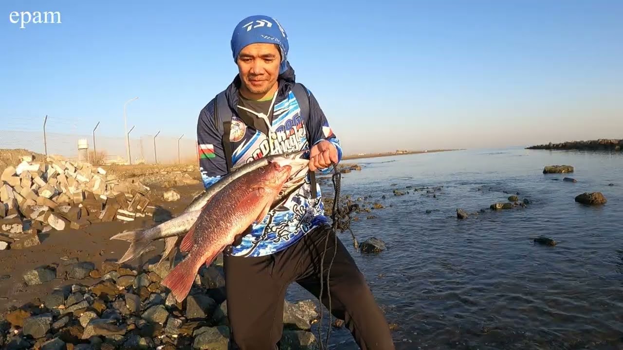 Have a Break ! | Fishing Time | Harvest Barracuda | Red Snapper