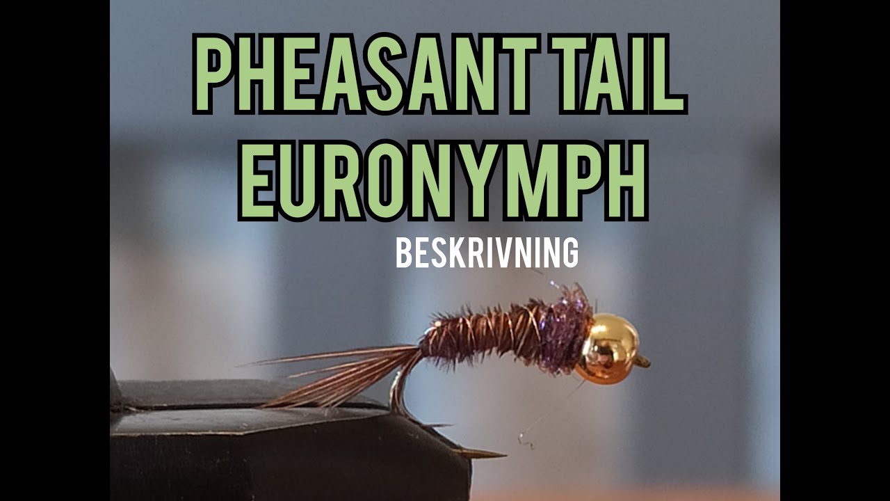 Pheasant tail EURONYMPH | Bindbeskrivning #flugbinding #flytying #euronymphing