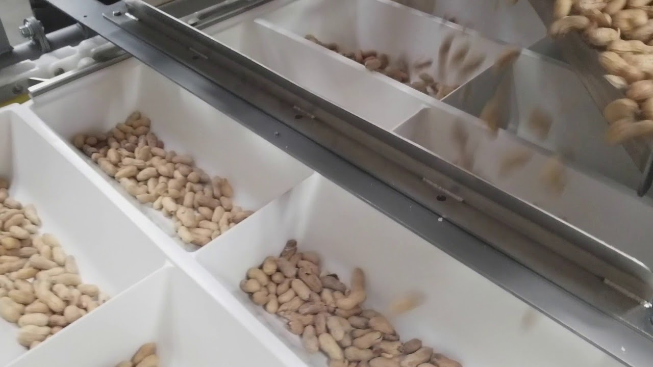 Hygienic Design for Food Manufacturing