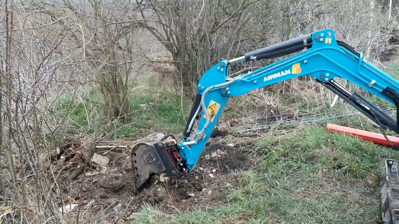 Sázení habry 17 4 2021