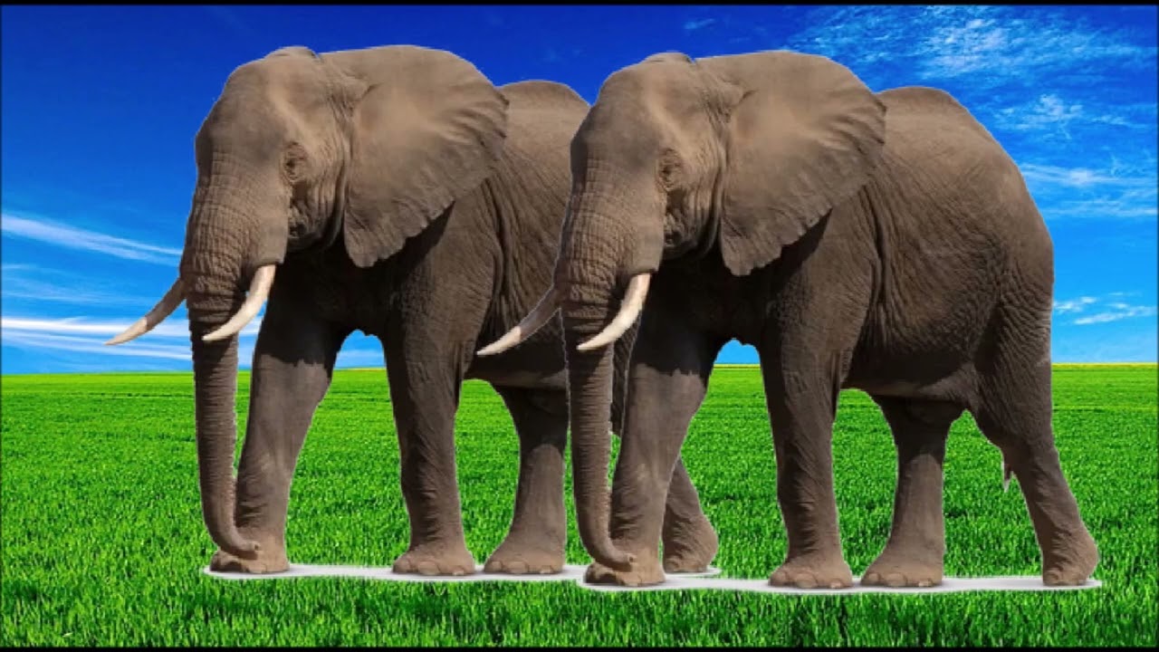 Teletubbies - Animal Parade (My Version)