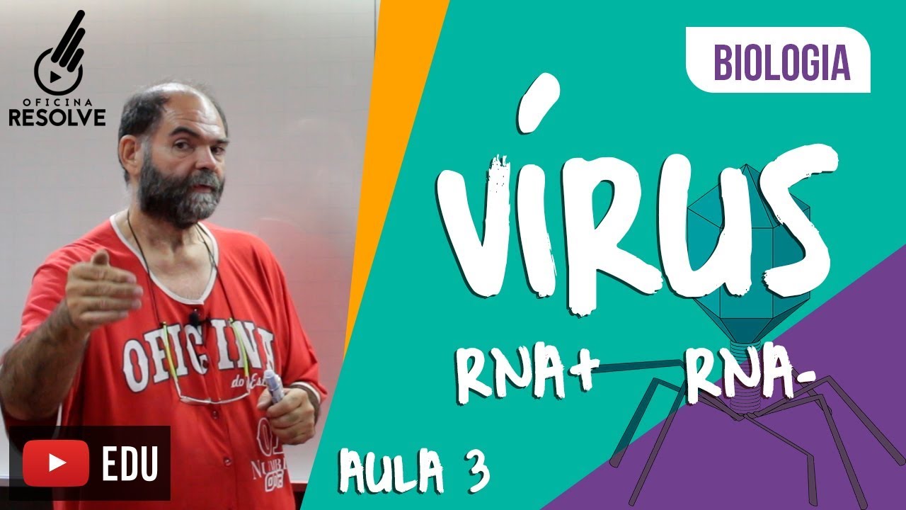 Vírus de Cadeia positiva e negativa, RNA+ e RNA-