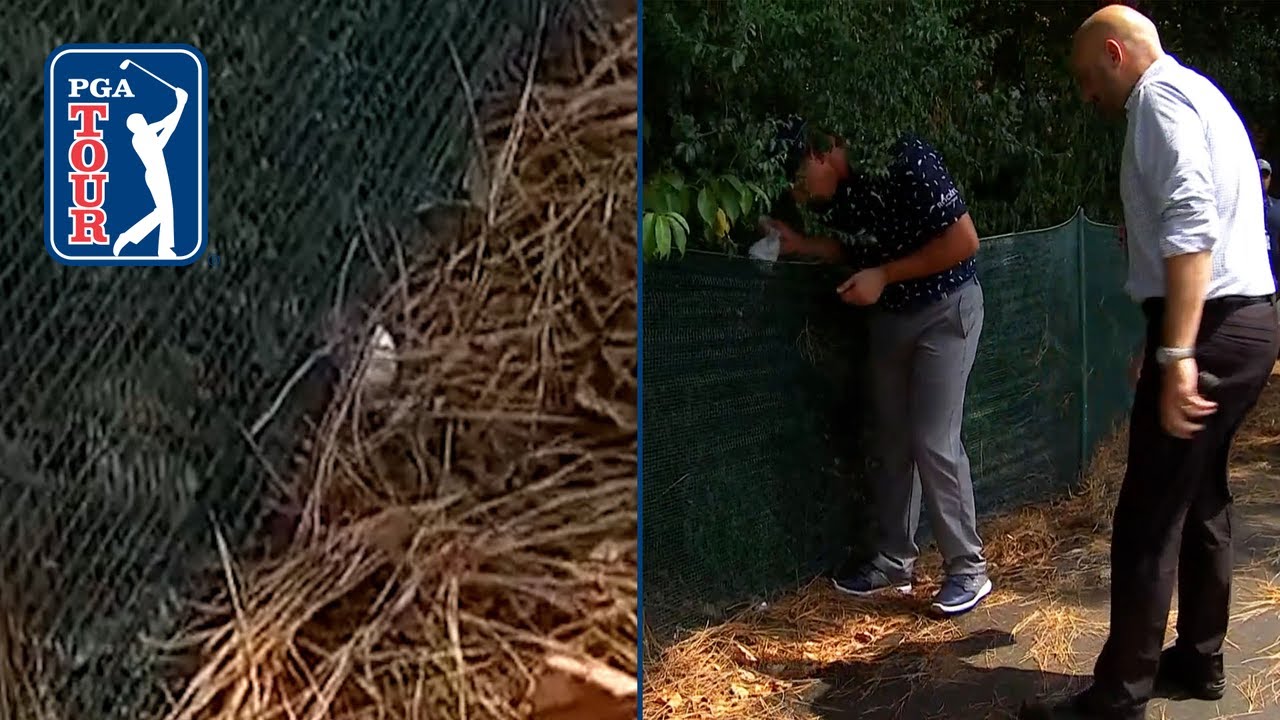 Bryson receives ruling, avoids going OB by inches at WGC-FedEx St. Jude