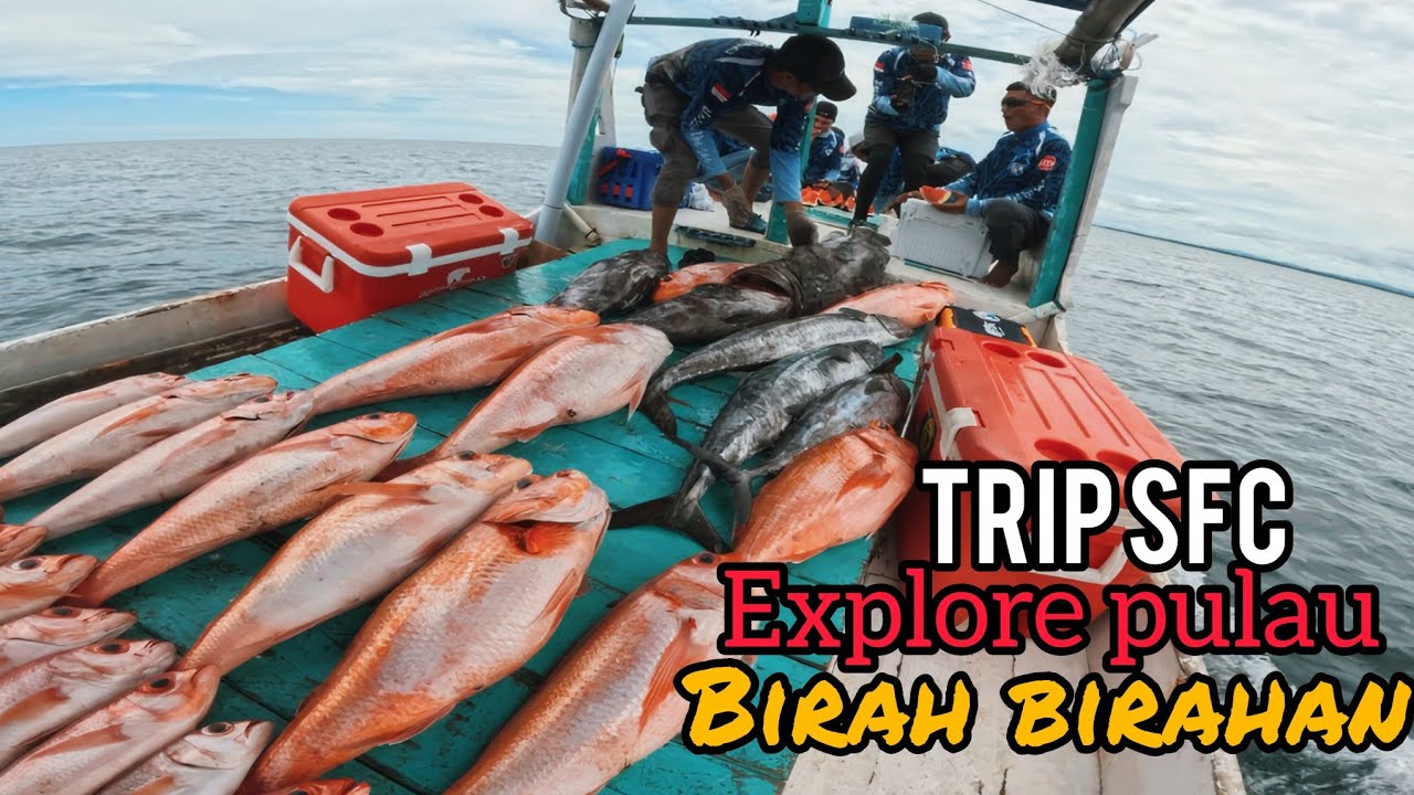 3 hari Pesta strike ruby babon, kertang, tenggiri di pulau kecil kalimantan timur