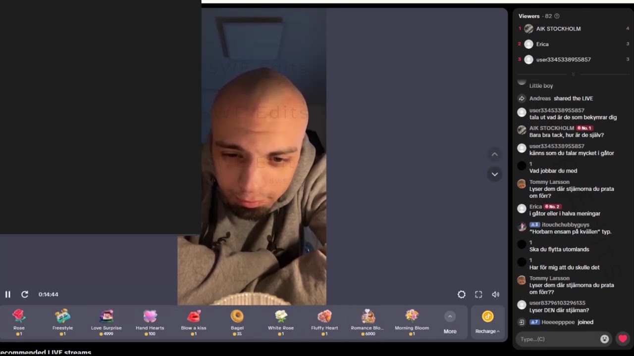Anna Toledano Book om &ouml;vergreppet TikTok LIVE + chatten
