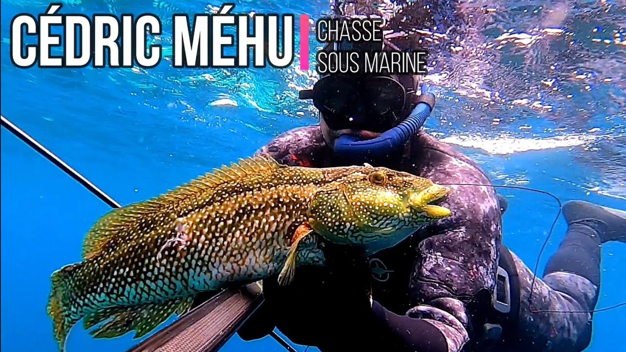 PÊCHE SOUS MARINE DANS LE VAR + BONUS