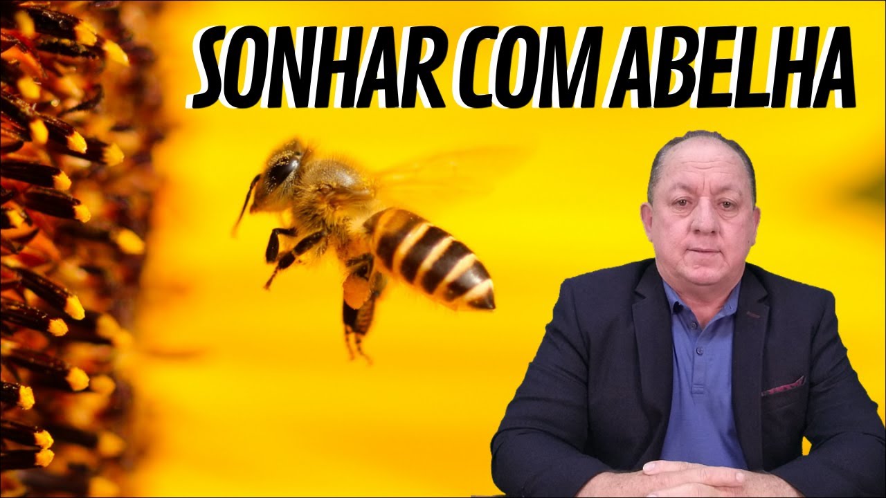 O QUE SIGNIFICA SONHAR COM ABELHA