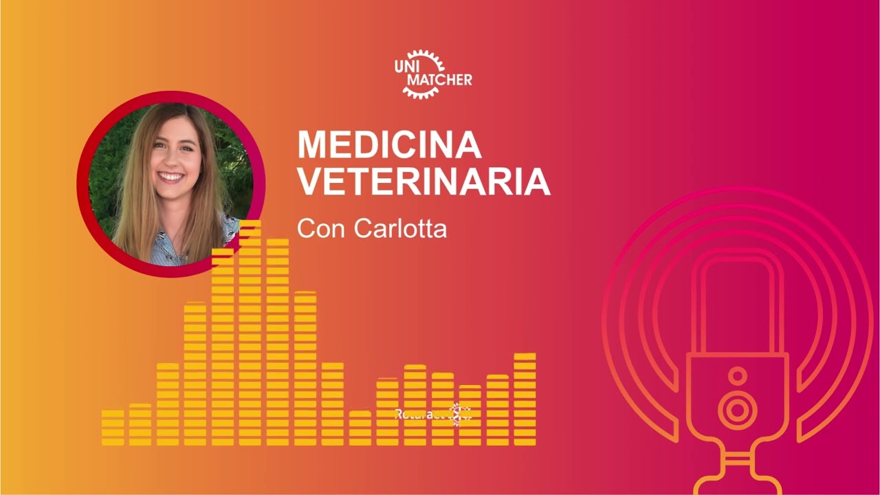 1. Medicina Veterinaria - accesso, percorso universitario e sbocchi lavorativi!