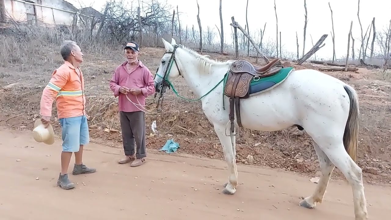 bastidores Seu Mané compra um cavalo a seu Jorge