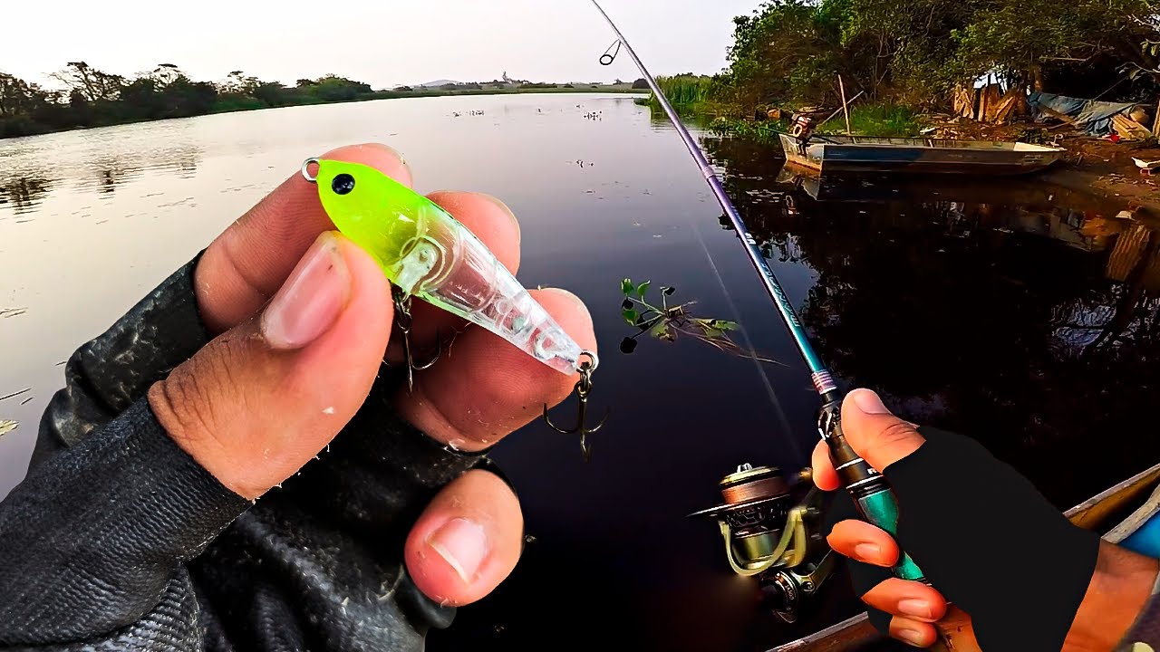 É SÓ CAIR NA ÁGUA... PESCA COM MICRO ISCAS E MUITA AÇÃO! Pescaria Ultralight