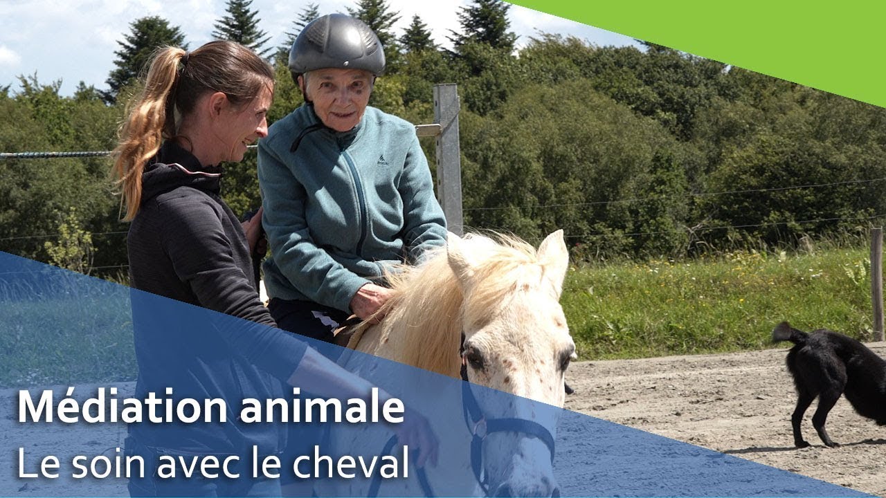 Médiation équine en EHPAD
