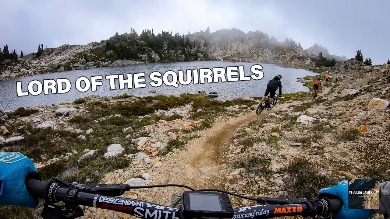 Squirrel Lording