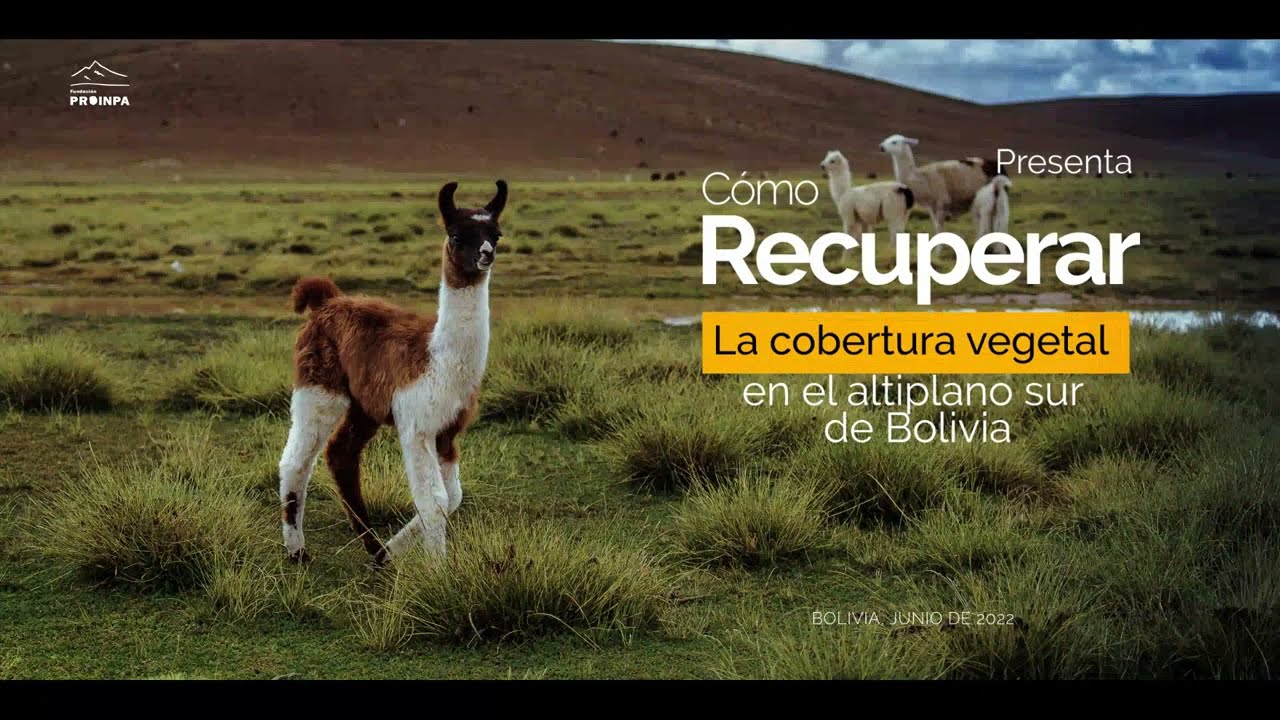 Cómo recuperar la cobertura vegetal en el altiplano sur de Bolivia