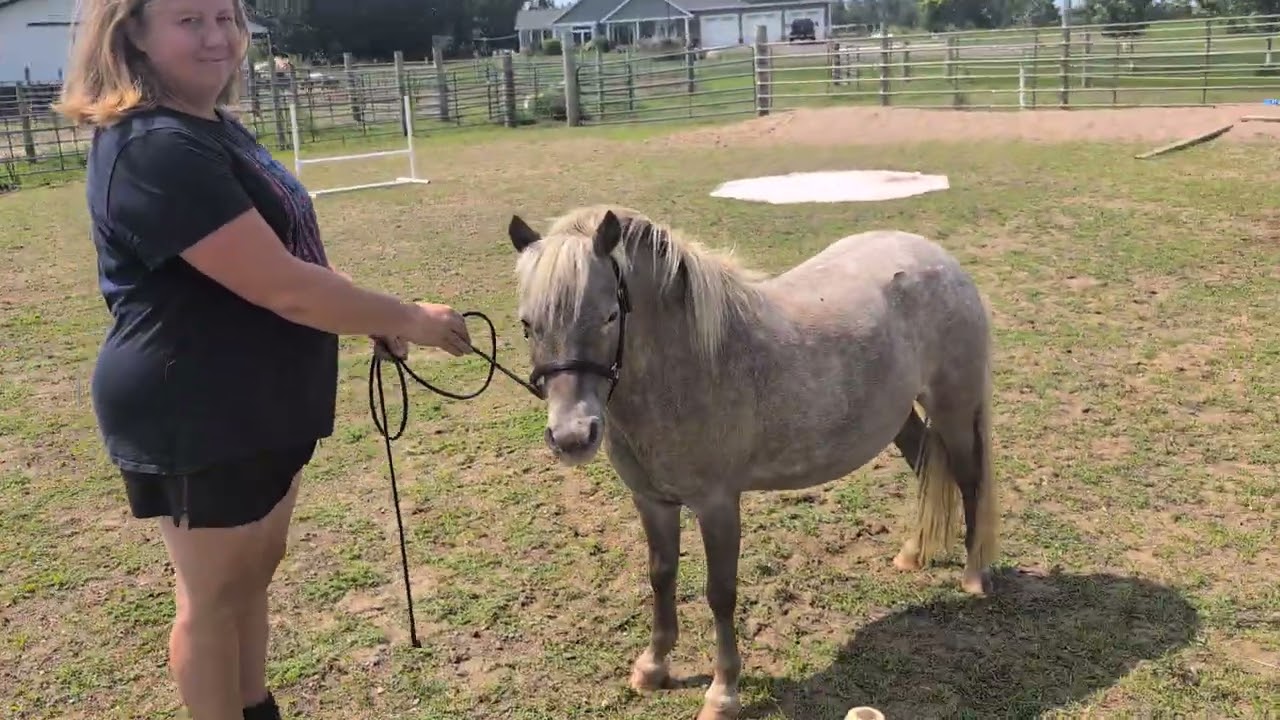 Showmanship August 2025