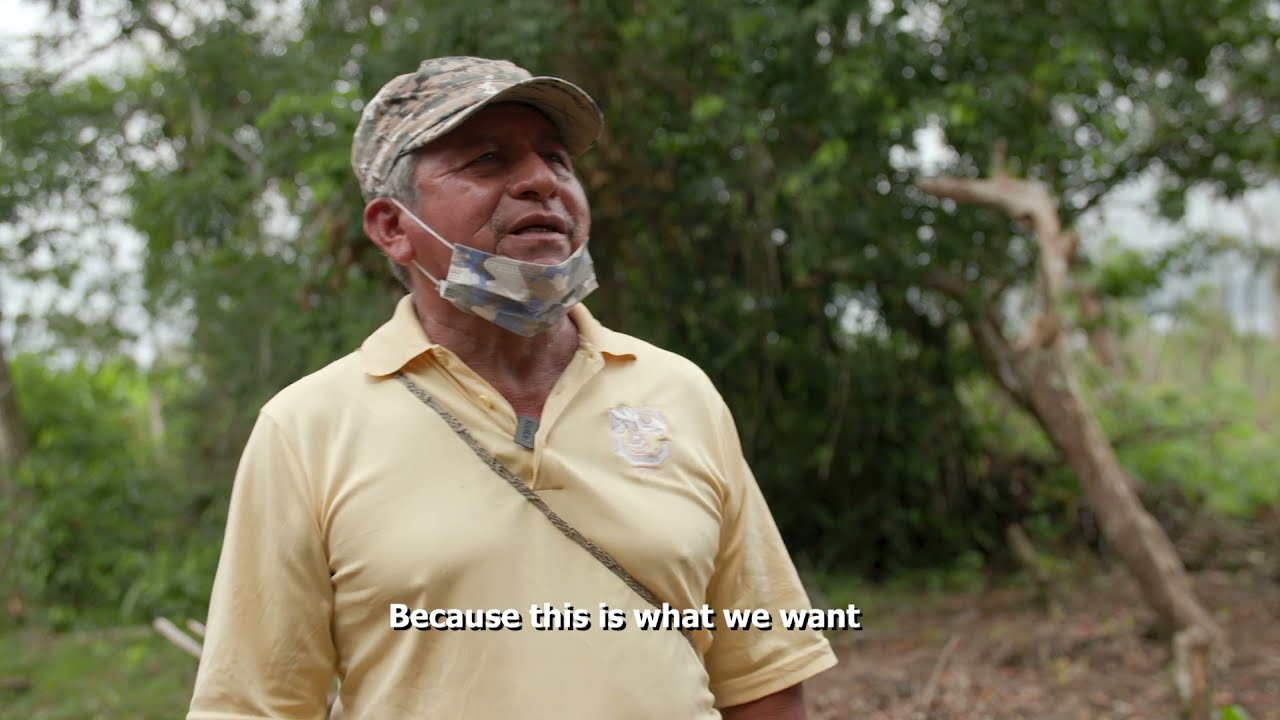 Discover the positive impacts of Community Resilience Building in the Caribbean project (CRB)