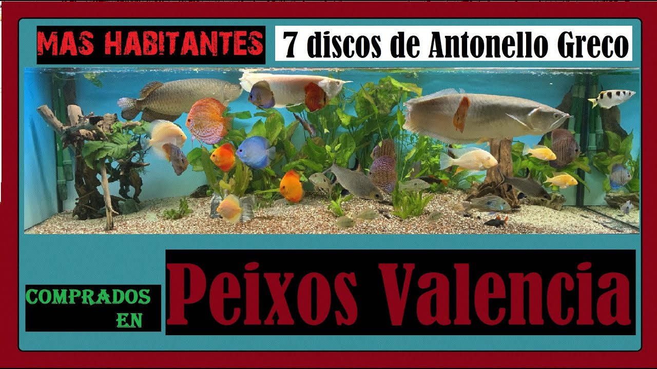discos de Antonello Greco Comprados en Peixos Valencia