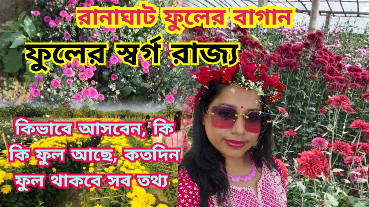 Ranaghat Chapra Flower Valley🌹New Valley of Flowers 2025 l চাপড়া ফুলের বাগান l #chapraflowervalley