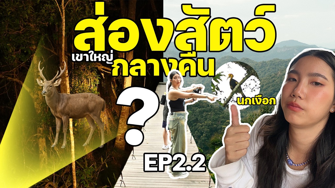 เที่ยวเขาใหญ่ 2025 EP2.2 ครั้งแรก! พาไปส่องสัตว์เขาใหญ่ตอนกลางคืน
