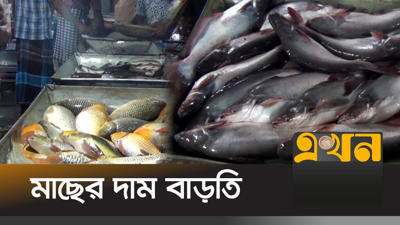 শরীয়তপুরের বাজারে মাছের সরবরাহ কম | Shariatpur Bazar | Ekhon TV
