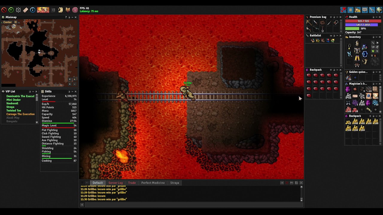 Medivia - Dwarf guard mage hunt [level 40+]