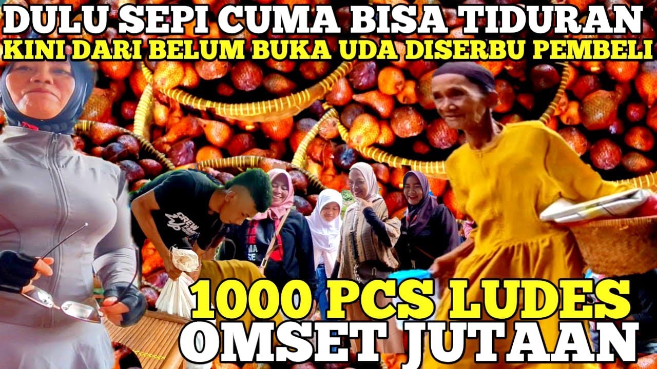 DULU CUMA TIDURAN KINI JUALAN BELUM BUKA DISERBU PEMBELI ! 1000 PCS LUDES OMSET JUTAAN ! IDE USAHA