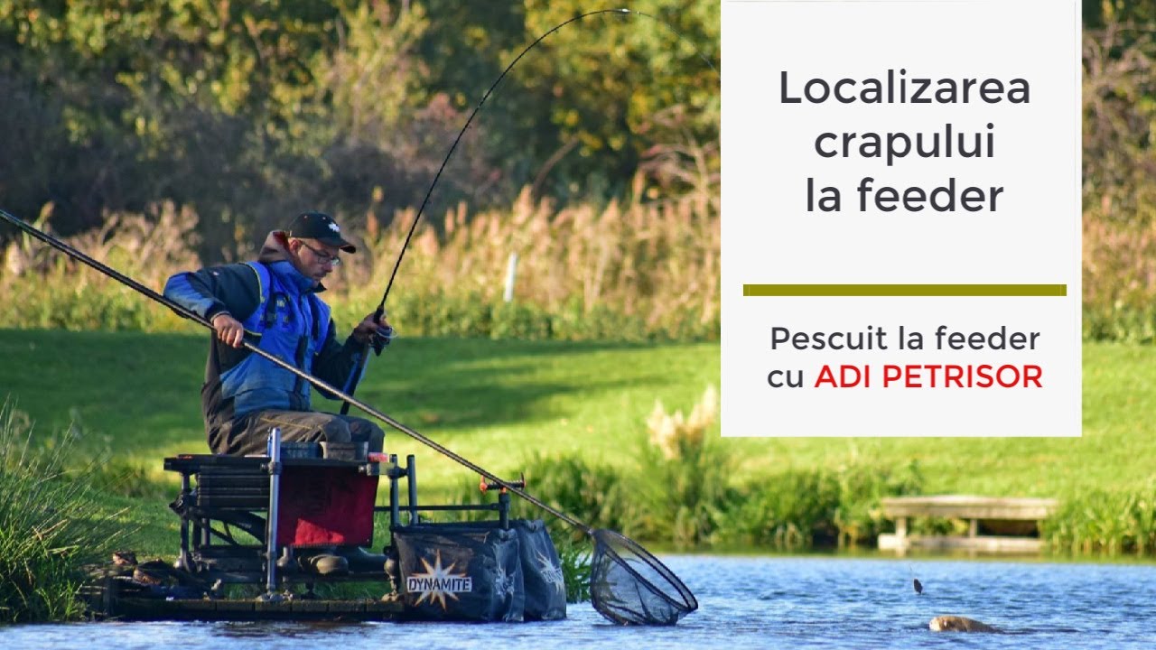 Localizarea crapului la feeder