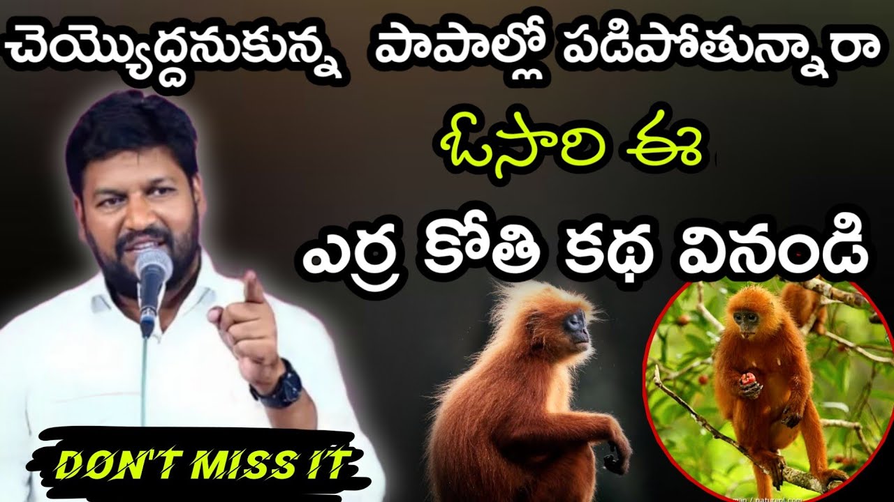 ఓసారి ఈ ఎర్ర కోతి కథ వినండి..! పాపాన్ని జయించే అద్భుత మార్గం message by bro.Shalemrajanna