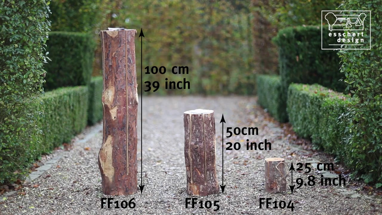 Zweedse fakkel / Swedish torch