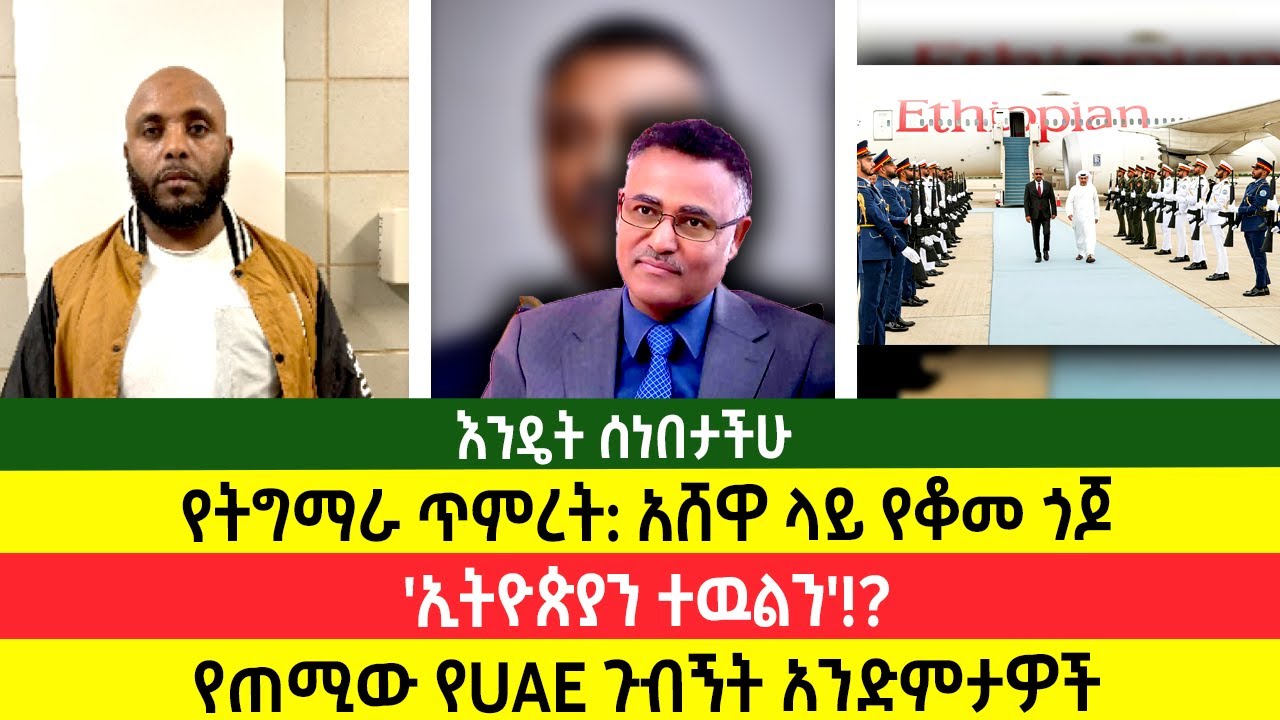 የትግማራ ጥምረት: አሸዋ ላይ የቆመ ጎጆ | 'ኢትዮጵያን ተዉልን'!? | የጠሚው የUAE ጉብኝት አንድምታዎች