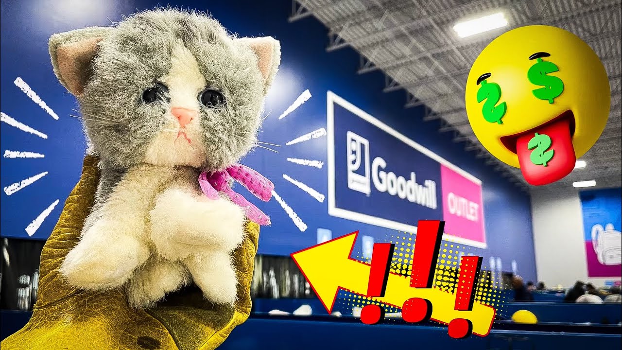 THIS KITTY BRINGS THE PURRRROFIT• Goodwill Outlet Bins Shopping • My Week Thrifting POV